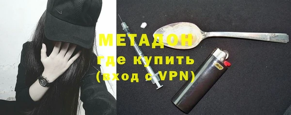прущие грибы Краснослободск