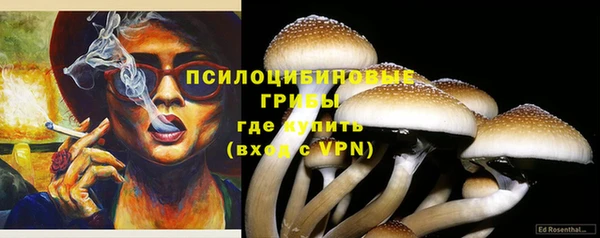 PSILOCYBIN Дегтярск