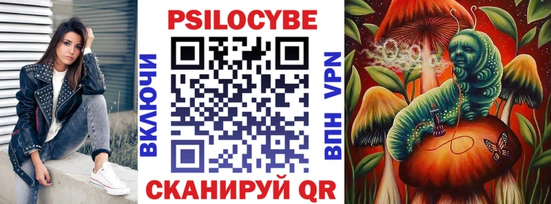 Псилоцибиновые грибы Psilocybe  Мглин 